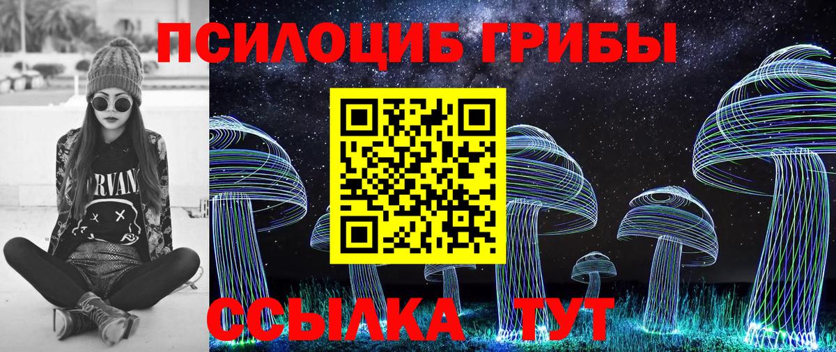 Оренбург  Псилоцибиновые грибы GOLDEN TEACHER  закладки  Вход с VPN 